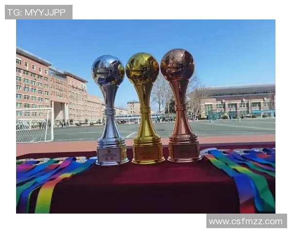 荣耀之路：从奖牌到奖杯，足球梦想的追逐与成就