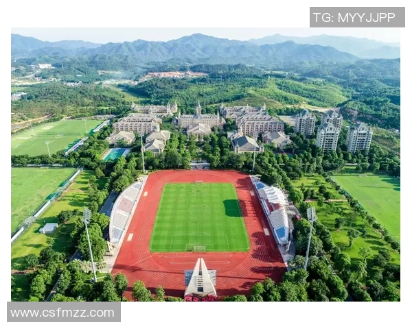 探索足球SBA的魅力与发展潜力：从青训到职业联赛的全景分析