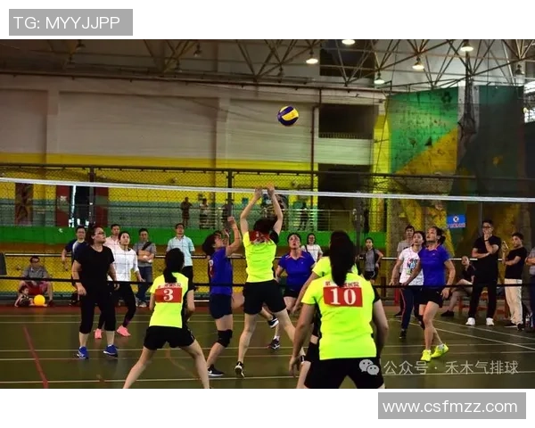 成都排球队边路渗透战术解析与深度剖析排球技战术的魅力与挑战 成都排球队边路渗透战术解析与深度剖析排球技战术的魅力与挑战