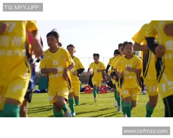 林泉足球：在绿茵场上书写青春梦想与团队精神的传奇故事