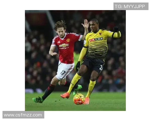 足球之小猫的奇幻冒险与成长之路探索小猫如何在绿茵场上追逐梦想 足球之小猫的奇幻冒险与成长之路探索小猫如何在绿茵场上追逐梦想