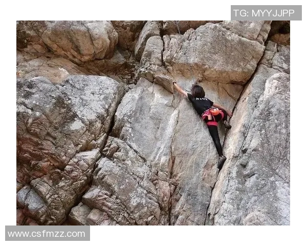 西安攀岩队创历史新高攀岩耐力排名引发广泛关注与赞誉
