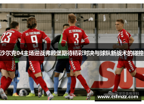 沙尔克04主场迎战弗赖堡期待精彩对决与球队新战术的碰撞