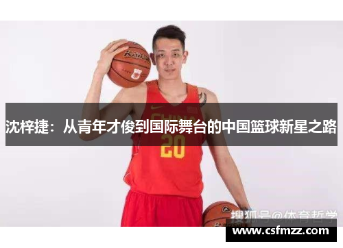 沈梓捷：从青年才俊到国际舞台的中国篮球新星之路