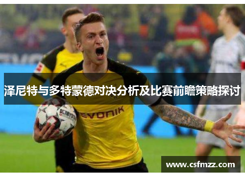 泽尼特与多特蒙德对决分析及比赛前瞻策略探讨