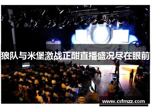 狼队与米堡激战正酣直播盛况尽在眼前