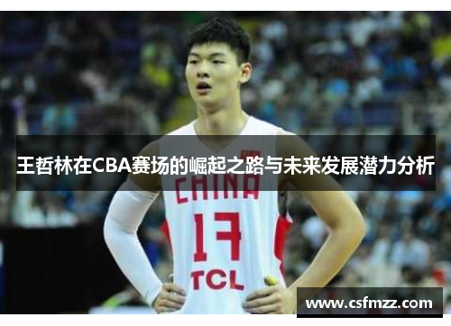 王哲林在CBA赛场的崛起之路与未来发展潜力分析