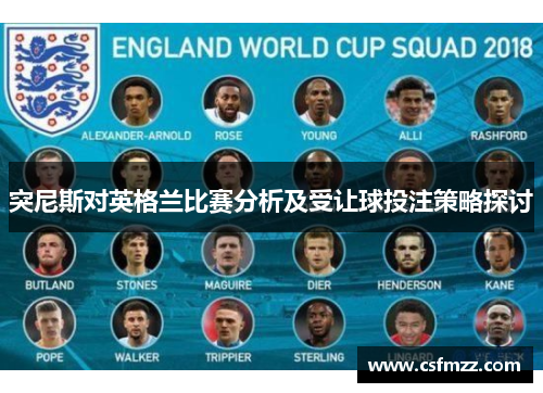 突尼斯对英格兰比赛分析及受让球投注策略探讨